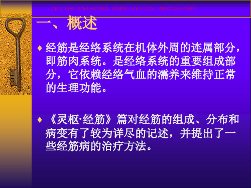 经筋理论的临床意义课件