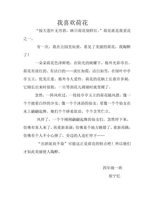 我喜欢荷花