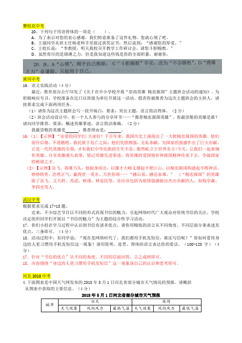 2018年中考语文真题分类汇编：语言运用(含答案)