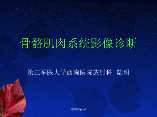 骨骼肌肉系统影像诊断1PPT专业课件