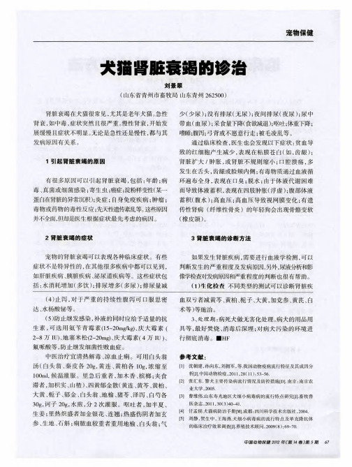 犬猫肾脏衰竭的诊治