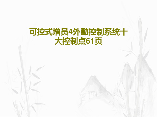 可控式增员4外勤控制系统十大控制点61页PPT文档63页