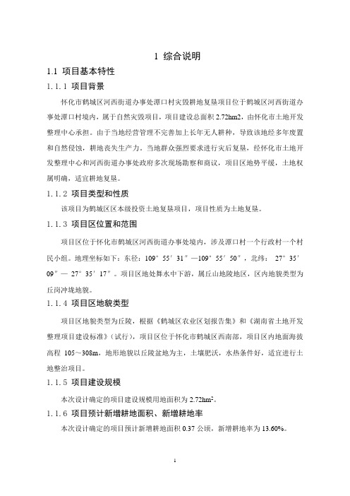 鹤城区潭口村土地复垦项目施工组织设计