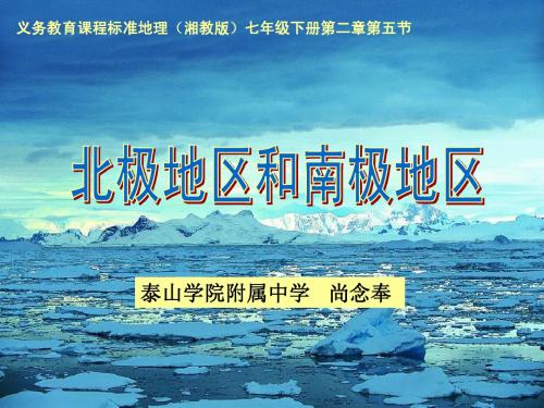北极和南极说课课件