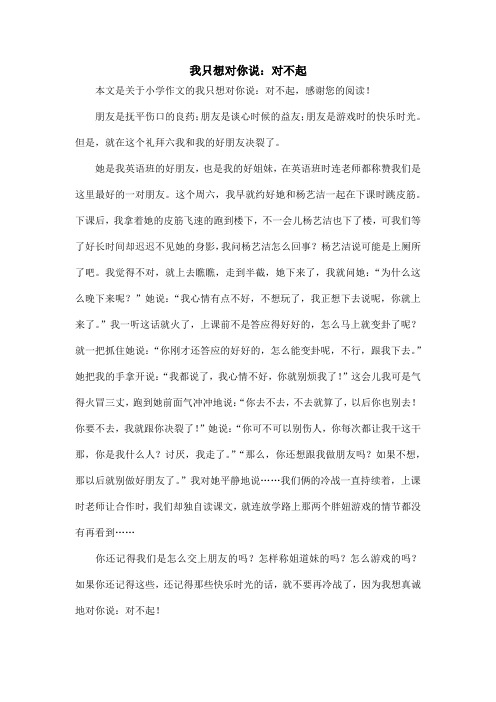我只想对你说：对不起_小学作文
