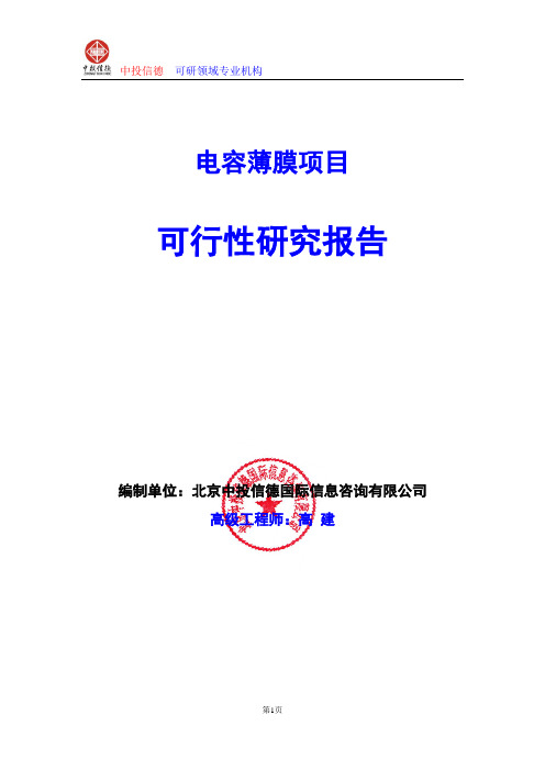 电容薄膜项目可行性研究报告编写格式及参考(模板word)