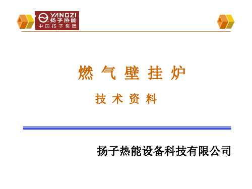 扬子壁挂炉培训资料..