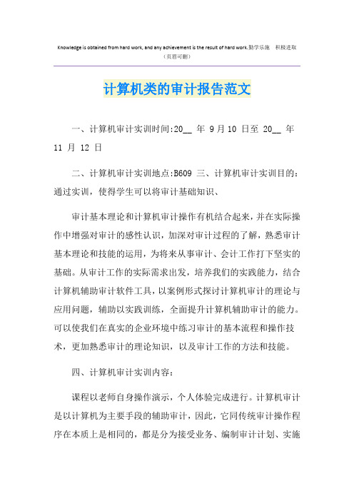 计算机类的审计报告范文