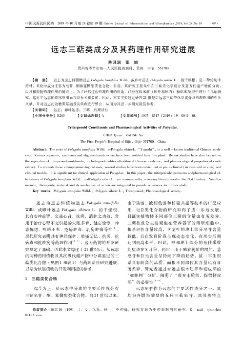 远志三萜类成分及其药理作用研究进展