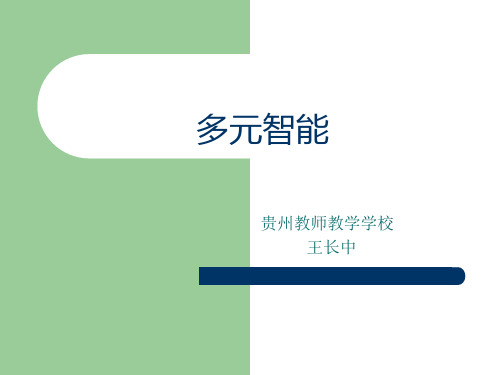 多元智能理论