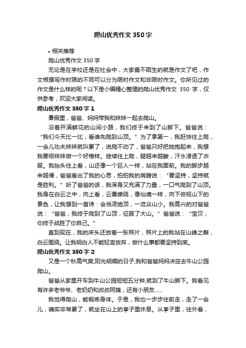 爬山优秀作文350字
