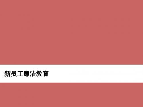 最新xx保险公司新员工培训完美版新员工廉洁教育 ,责任追究新员工