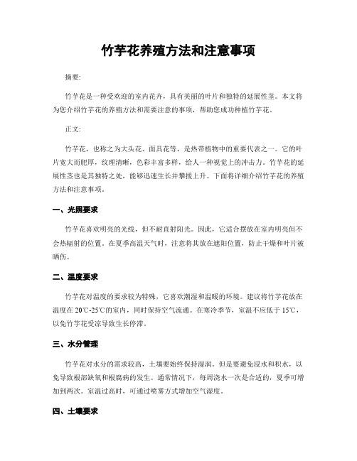 竹芋花养殖方法和注意事项