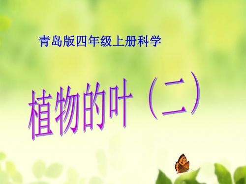 青岛小学科学四上《3 植物的叶》PPT课件 (7)