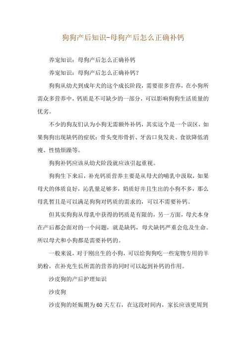 狗狗产后知识-母狗产后怎么正确补钙
