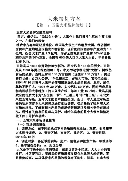 大米策划方案