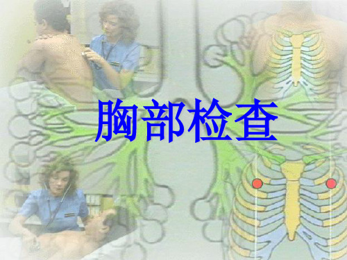 《胸部检查肺》PPT课件