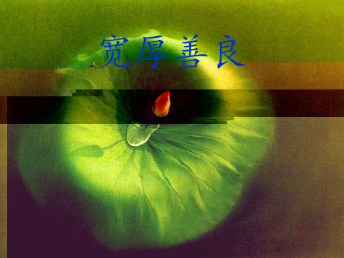 主题班会：善良PPT课件