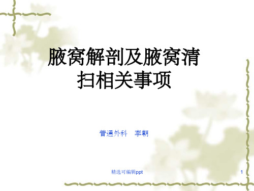腋窝解剖及腋窝清扫