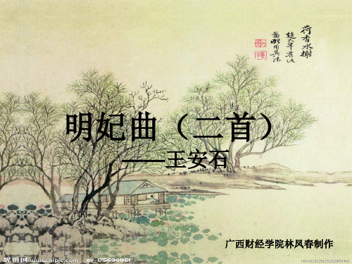 明妃曲王安石PPT课件