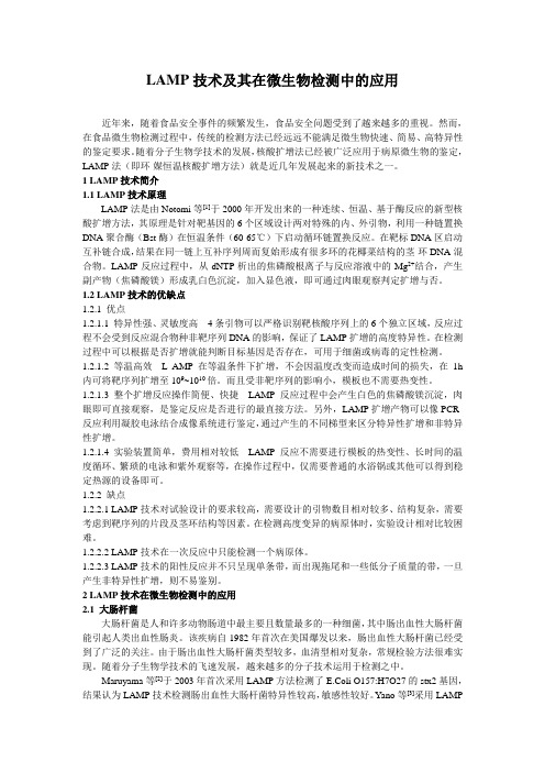 LAMP技术及其在微生物检测中的应用