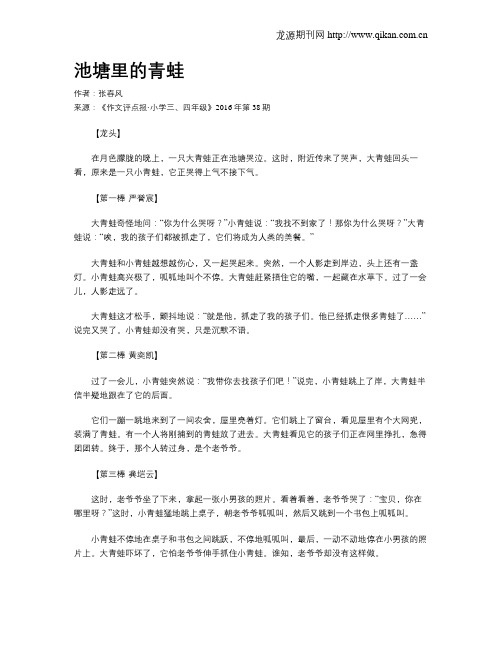 池塘里的青蛙