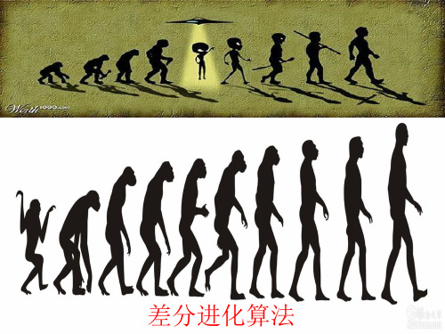 差分进化算法
