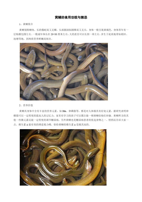 黄鳝的食用功效与禁忌