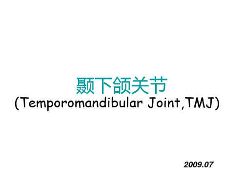 颞下颌关节(Temporomandibular Joint,TMJ)ppt课件