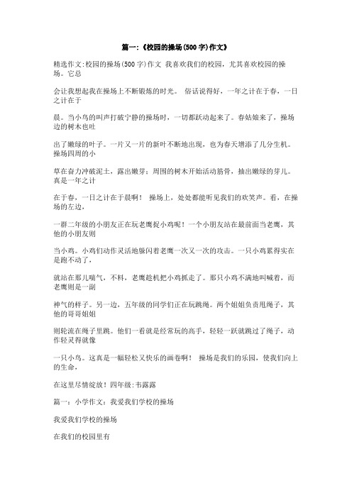 在操场上玩的作文