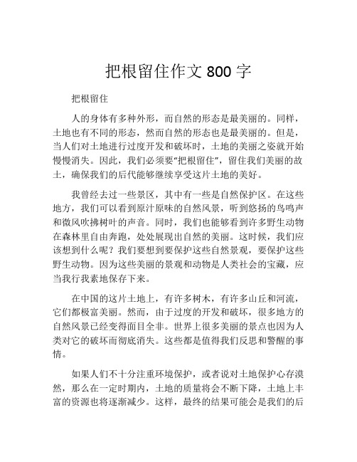 把根留住作文800字