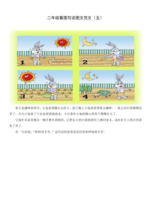 小学作文二年级看图写话图片范文(五)