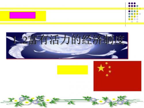 富有活力的经济制度(PPT 49张)