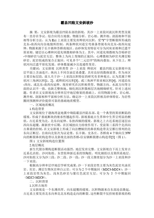 霸县凹陷文安斜坡沙
