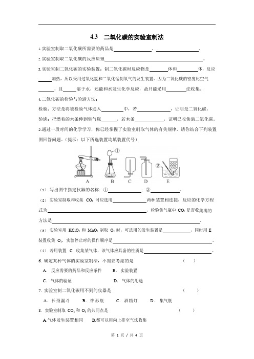 九年级化学专题测试---二氧化碳的实验室制法1(含答案)