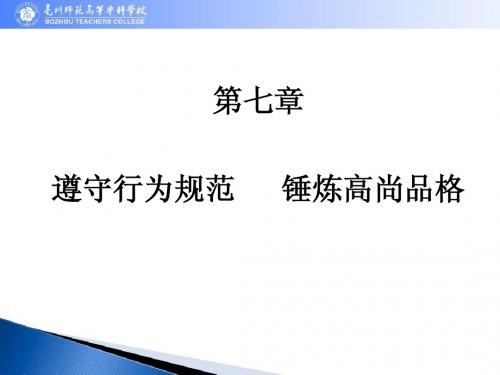 思想道德修养与法律基础 第七章 教案课件