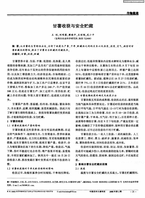 甘薯收获与安全贮藏