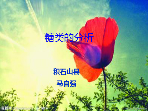 糖类的研究与分析 PPT课件