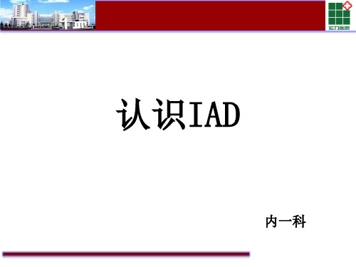 失禁性皮炎2018