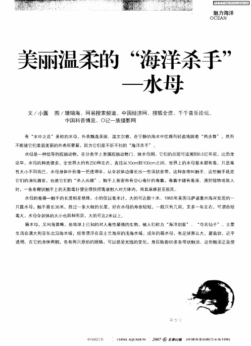 美丽温柔的“海洋杀手”——水母