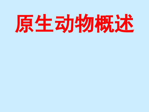 原生动物概述