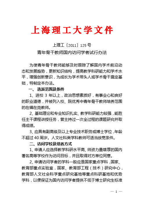 青年骨干教师国内访问学者试行办法【模板】
