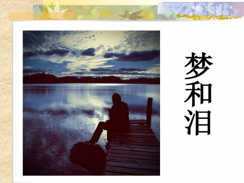 梦与泪