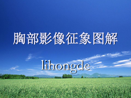 肺部CT影像征象图解