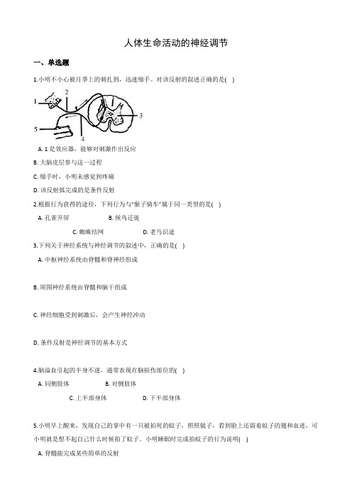 2020—2021学年华东师大版科学八年级下册 7.2人体生命活动的神经调节