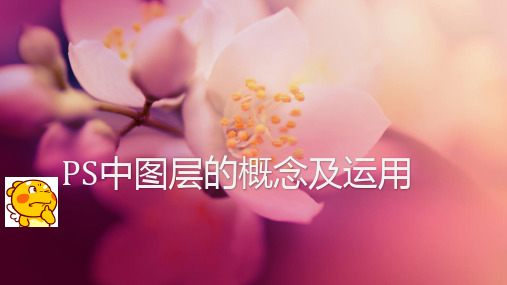 PS中图层的概念及运用