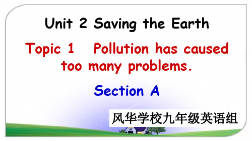 仁爱版英语九年级上册 Unit 2 Topic 1 Section A 课件