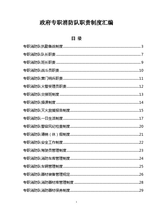 政府专职消防队职责制度汇编(29个制度)