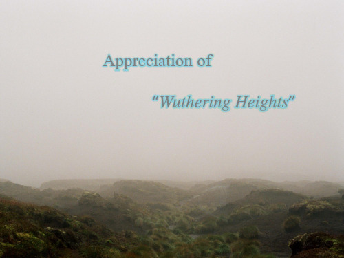 Appreciation of Wuthering Heights呼啸山庄赏析解析