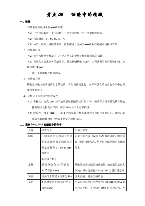 专题05细胞中的核酸